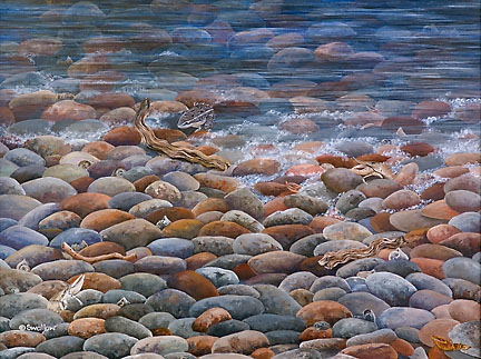 ©Judy Swallow