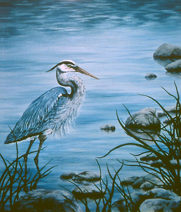©1994 Judy Swallow