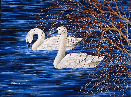 ©1993 Judy Swallow