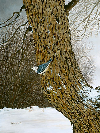 ©1993 Judy Swallow