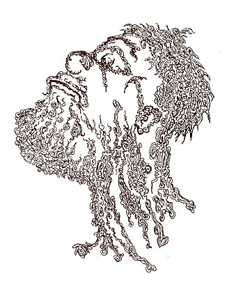 Meltdown, ©2006 Judy Swallow